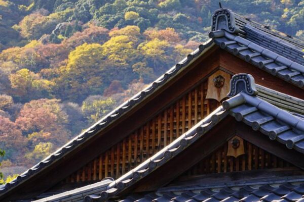 Foto vom Ziegeldach eines Hauses mit herbstlichem Wald im Hintergrund in Arashiyama, Kyoto