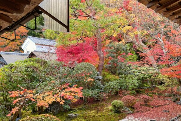 Japanischer Garten im Jojakko-ji Tempel, Arashiyama, Kyoto